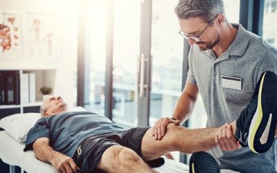 Move Better, Feel Stronger: Portland’s Top 8 Physical Therapy Clinics 2025 Guide