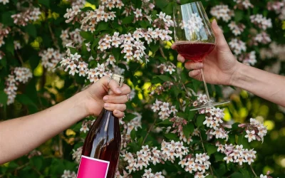 Dry January Without Opting Out: A More Intentional Way to Experience Wine Country